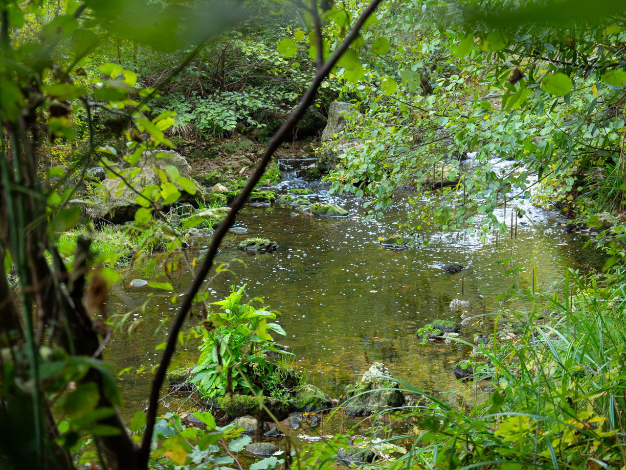 Jacques-Olivier Broner